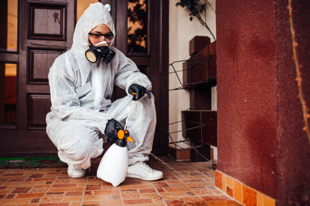 Attic and Crawl Space Rodent Treatment in Wautoma