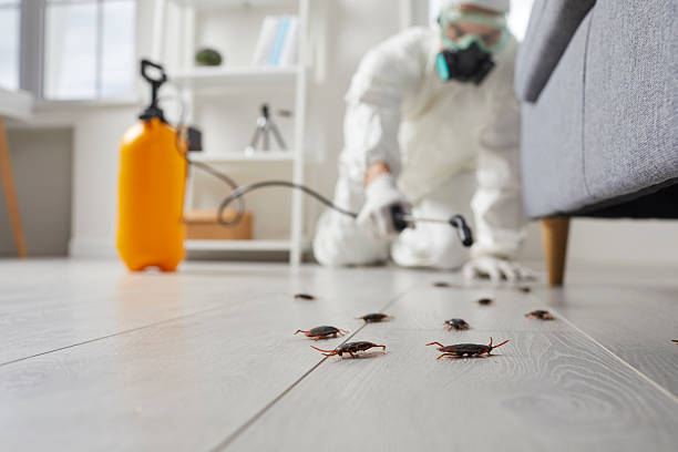 Commercial Rodent Management in Wautoma